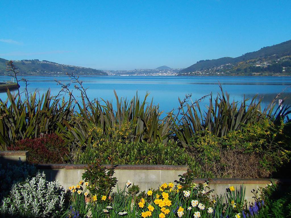 Apartament Arts Content Harbour View Macandrew Bay Zewnętrze zdjęcie