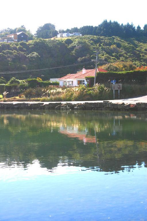 Apartament Arts Content Harbour View Macandrew Bay Zewnętrze zdjęcie